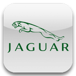 Jaguar новый из сша